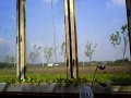 videos de windmolen op zonne energie