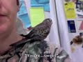 quigley bourke parakeet talking 1