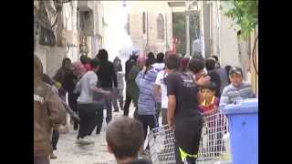 تقرير احياء مخيم العروب لذكرى النكبة - جهاد الدين بدوي