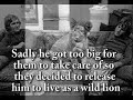  Christian the Lion- Reunion!