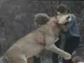 Christian the Lion- Reunion! Christian the Lion- Reunion!