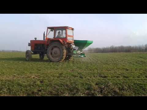 how to fertilize wheat