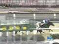 2008年2月2日 京都4R 障害オープン ゴールドリーズン