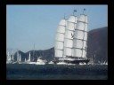 The Maltese Falcon Enters San Francisco Bay