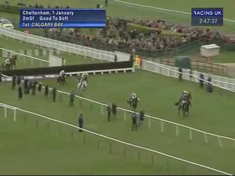 grand national results