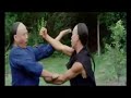 dragons-forever-jackie-chansammo-hungyuen-biaokung-fu-music-video.html
