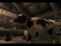 videos de cows can dream
