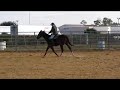 Sand Cay Farm, CPTN Jack Sparrow, AQHA Long Yearling gelding, RIDING SUPER