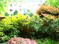 Sample Video from Kodak Easyshare C875