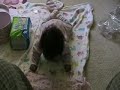 Crawl or Walk