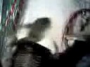 Crazy Skeleton