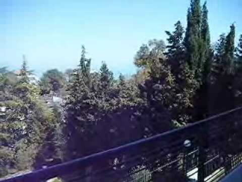 Immagine anteprima YouTube