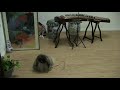 The "ZIGGY" Blog: Episode 6 ("ZIGGY" with Chinese instrumet)