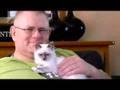 Avalon als kitten op schoot bij Gerard