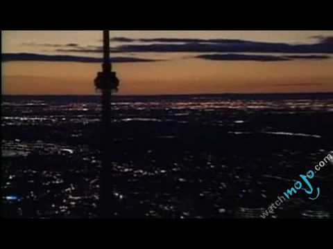 Travel Guide - Top 5 Things to Check Out in Toronto