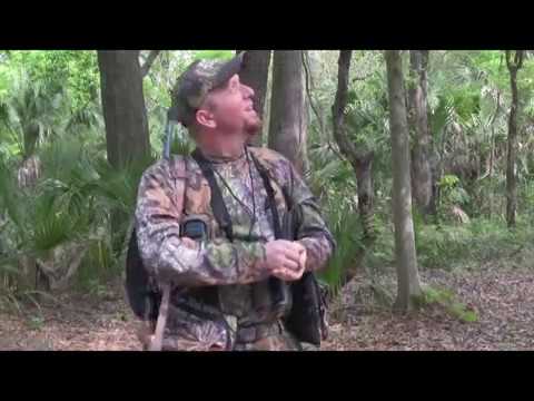 how to locate owls