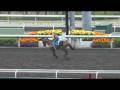 videos de S02 & V12 & V01 - MARCHAND D'OR & THE BOGBERRY & DR DINO