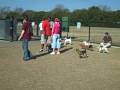 videos de A Day at the Dog Park with Bijou
