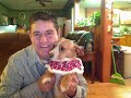 Freestyle Christmas Week