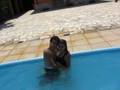 videos de BL