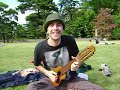 Danny Blackwell Charango Neko Haiku Silly Version