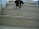 Athenea aprende a subir escalera