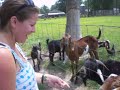 The Talking Goat