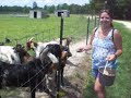 The Talking Goat