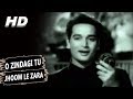 O Zindagi Tu Jhoom Le Zara | Mohammed Rafi | Kaise Kahoon 1964 Songs | Biswajeet O Zindagi Tu Jhoom Le Zara | Mohammed Rafi | Kaise Kahoon 1964 Songs | Biswajeet