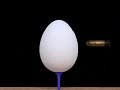 Tutorial results of \"Making of Bullet hits an egg in 3ds max