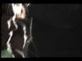 Puya - Fundamental/Tirale
