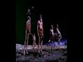 Purgen - Avstralopiteki idut Purgen - Avstralopiteki idut