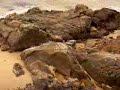 Hugo César - Pescador Hugo César - Pescador