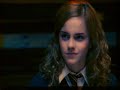 harry-potter-sexual-animals-charactersanimals.html