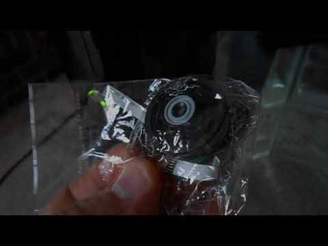 動画