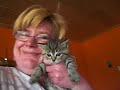 Video anschauen