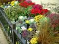 videos de LUXURY FALL MULTI-UNIT HIGH RISE LANDSCAPE DESIGNS