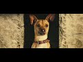 Beverly hills chihuahua trailer (2008)