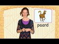paard