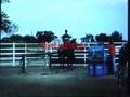 Dragster Barrel horse/Calf horse for sale