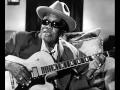 John Lee Hooker And Santana The Healer