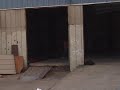 Bum fights montage Bum fights montage