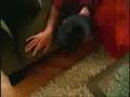 Bud Light - Bad Dog View Video