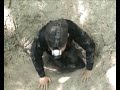 Kosmopoisk 2007 (full version)