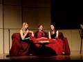 Vagina Monologues Northwestern Fienberg School of Medicine