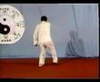 Taiji - Chen Style