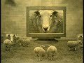 Sheeplmax (Original EKBTV copy)