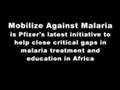 Pfizer: Mobilize Against Malaria
