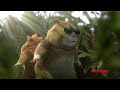 Auchan r�pa�gyn�k�k