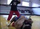 Alan Fenandes 2003 Training HL Video